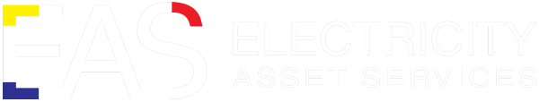 Electricity Asset Services